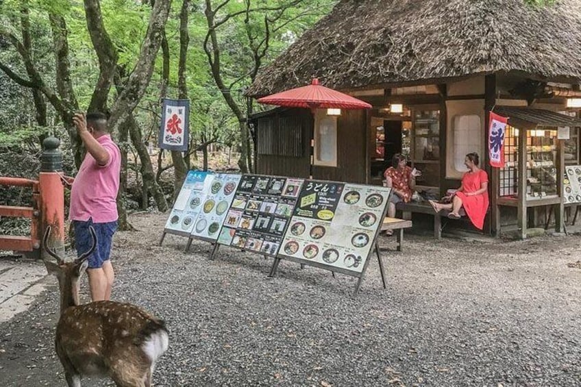 Private Tour - Explore Famous Nara Attractions on a Historic Tour