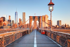 Boroughs Tour: Brooklyn, Bronx, Harlem, Queens & Coney Island