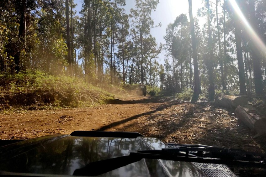 4x4 Northwest Madeira Tour with Laurisilva Forest and Lunch