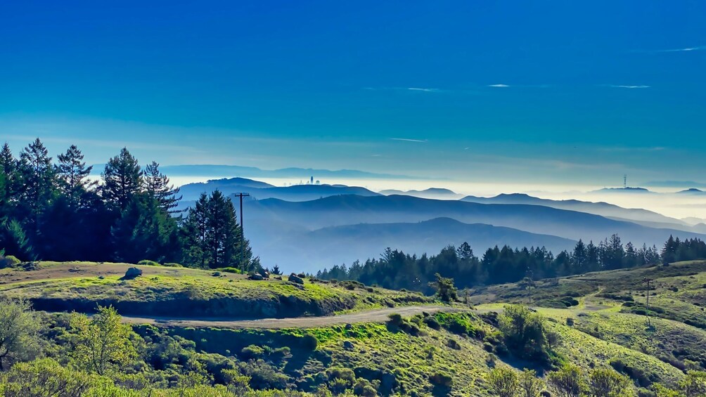 Golden Gate Bridge Bike Tour with Muir Woods & Sausalito Tour