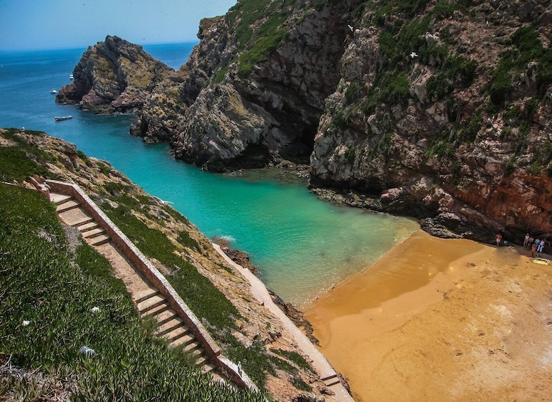 Picture 5 for Activity Lisbon: Berlenga Island Full Day Tour