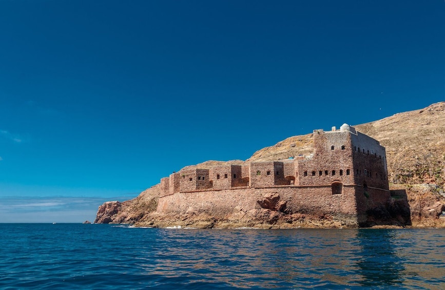 Picture 9 for Activity Lisbon: Berlenga Island Full Day Tour