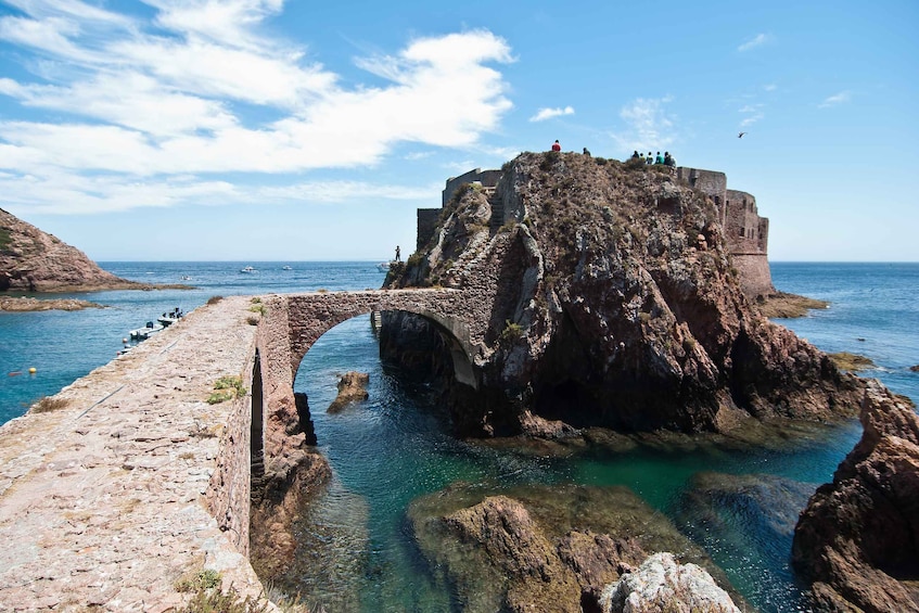 Picture 3 for Activity Lisbon: Berlenga Island Full Day Tour