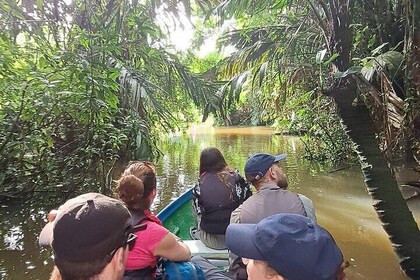 Canoe or Kayak Tour with Guide in French in Tortuguero