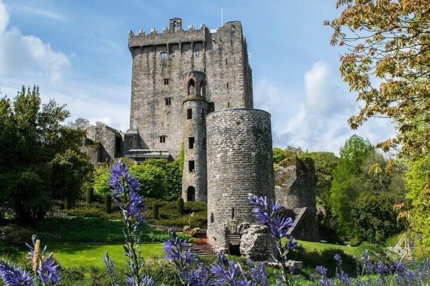 Luxury Private Day Tour to Blarney Castle