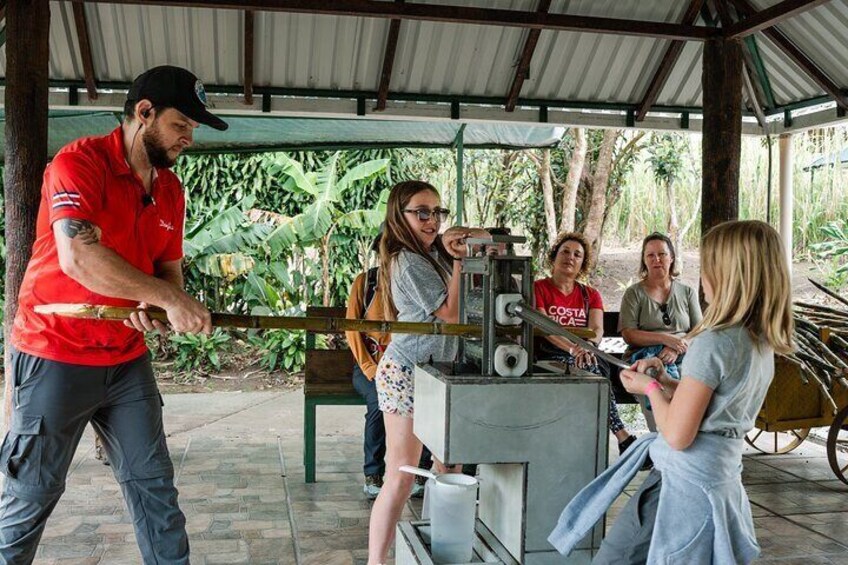 Coffee, Sugar Cane and Chocolate Tour in Monteverde with Guide