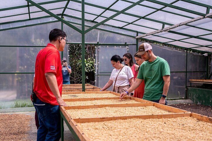 Coffee, Sugar Cane and Chocolate Tour in Monteverde with Guide