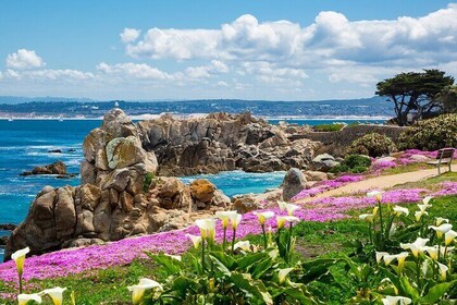 Private Tour Big Sur McWay Falls California Coast