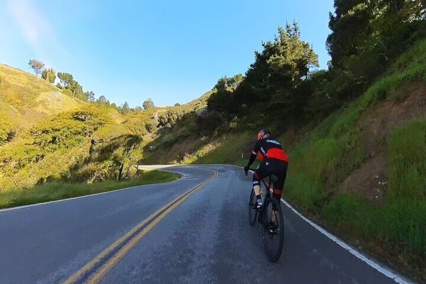 Dropping down to Muir Woods