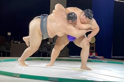 Osaka: Sumo Show en Kimono Haori Experience