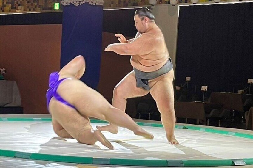 Sumo Show Admission with Chankonabe Gold & Sumo Experience
