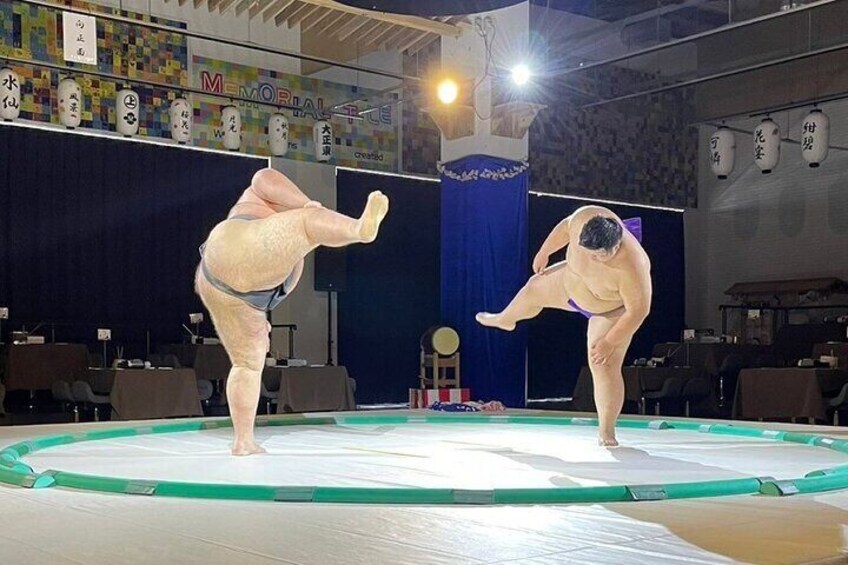 Sumo Show Admission with Chankonabe Gold & Sumo Experience