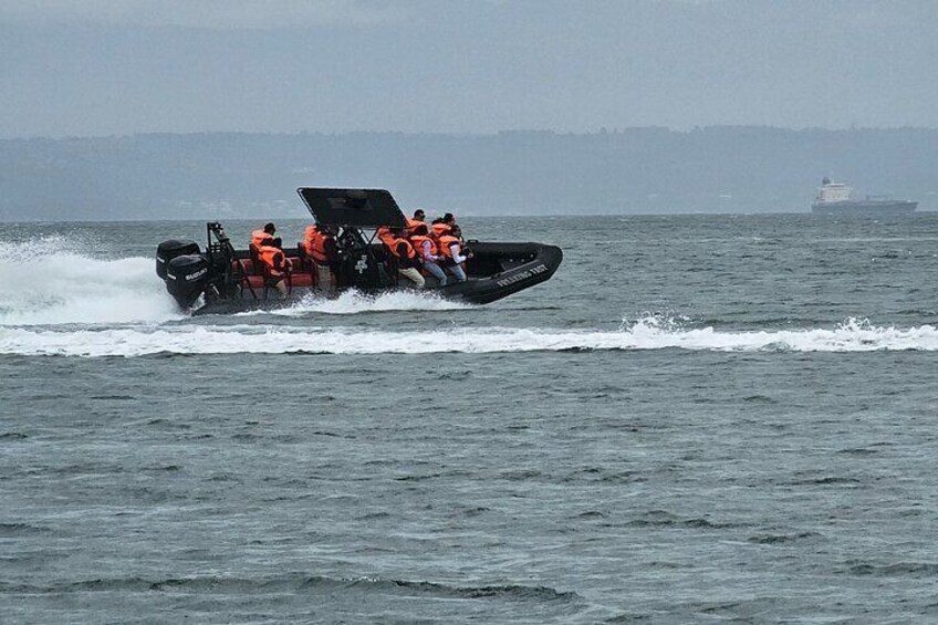 Freaking Fast waverider In Mossel Bay