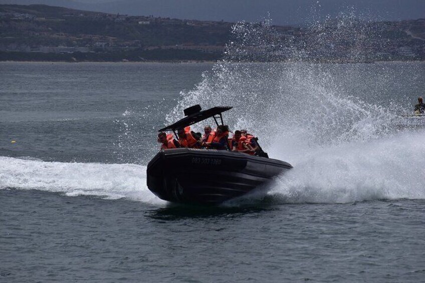 Freaking Fast waverider In Mossel Bay