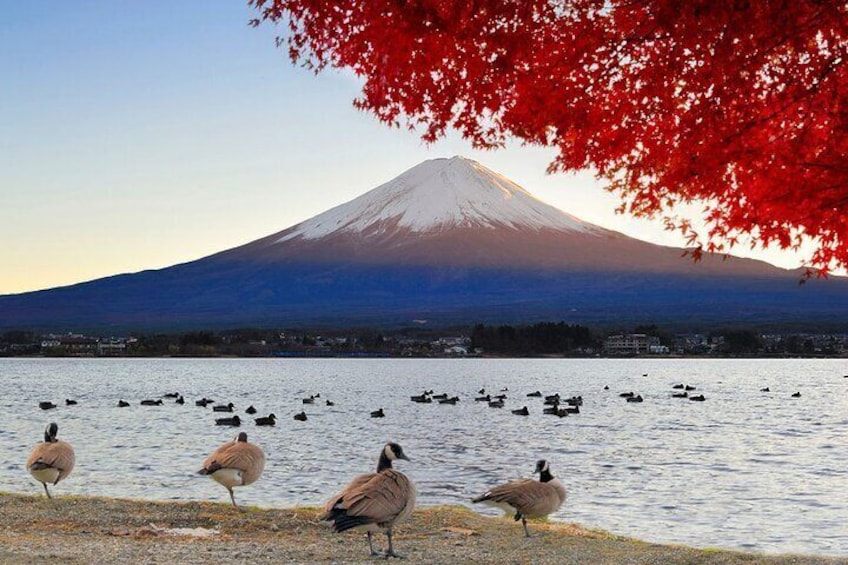 Mt FUJI Exclusive tour with Private car / English speaking guide