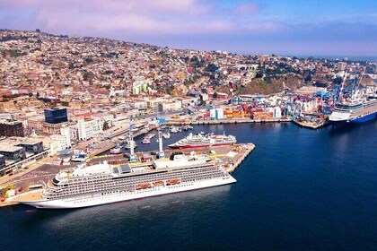 Post Cruise Tour Valparaiso and Winery drop off Airport or Hotel