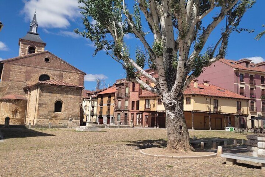 Guided tour of León