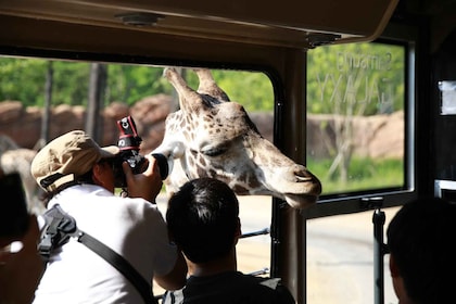 Seoul: Everland One Day Pass