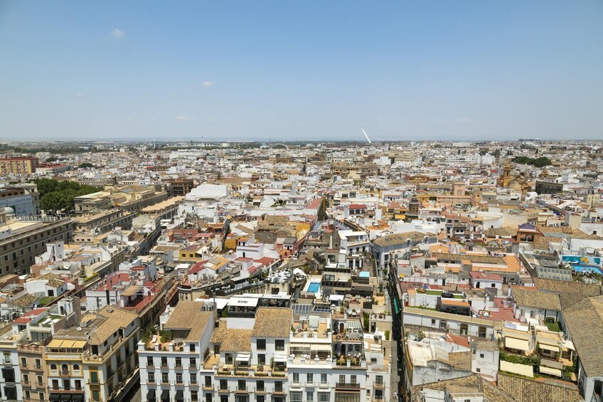 Seville City Visit with Shopping Time