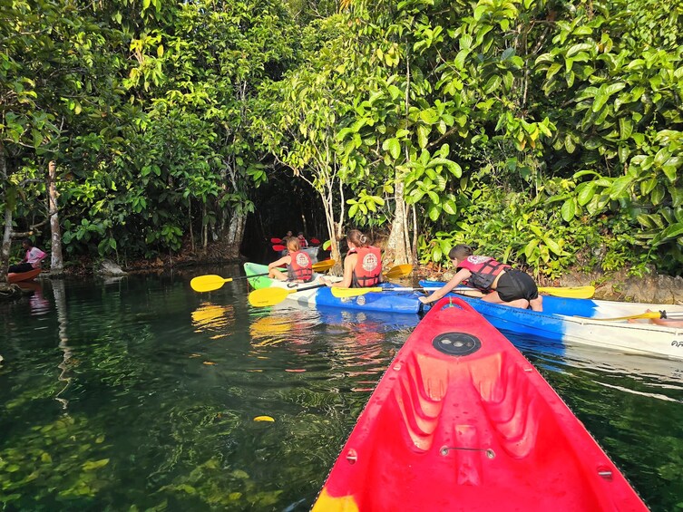 Krabi's Jurassic Jungle Kayak Tour