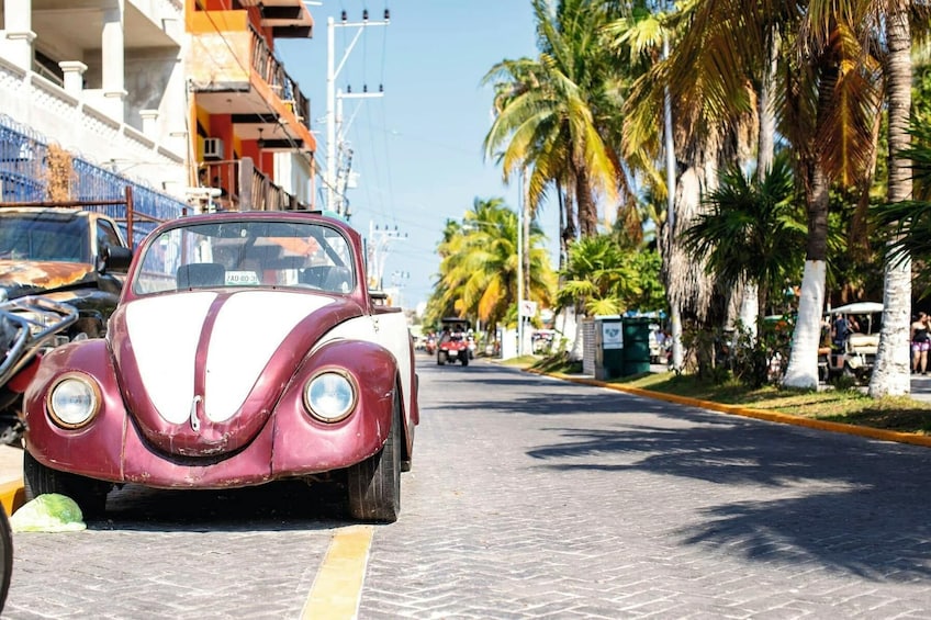 Isla Mujeres Adult Only with Beach Club Lunch