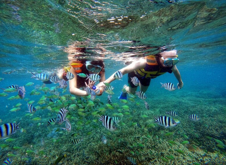 Picture 3 for Activity Lombok: Gili Nanggu, Sudak, & Gili Kedis Private Snorkeling