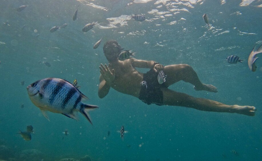 Picture 7 for Activity Lombok: Secret Gili Private Snorkeling Boat Trip