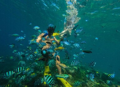 Lombok: Gili Nanggu, Sudak, & Gili Kedis Private Snorkeling