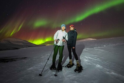 Desde Tromsø: Excursión nocturna con raquetas de nieve y teleférico de Fjel...