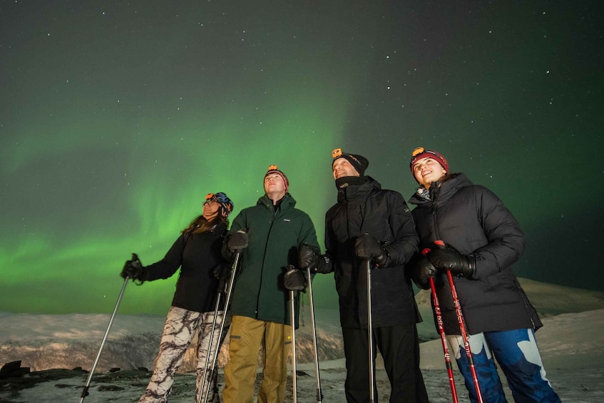 Picture 2 for Activity From Tromsø: Evening Fjellheisen Snowshoe Hike and Cable Car