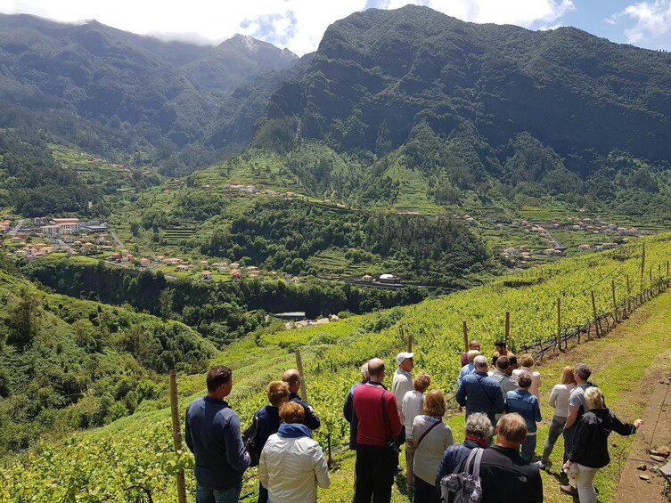 Madeira 4x4 Tour and Wine Tasting Experience