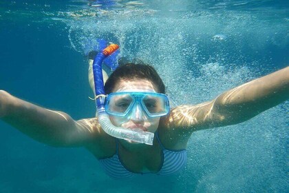 Baru Cartagena Beach Mangroves Snorkelling