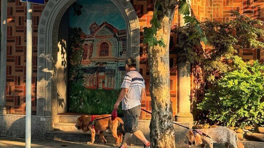 Enjoy this leafy road like a local - sunset paints the scene.