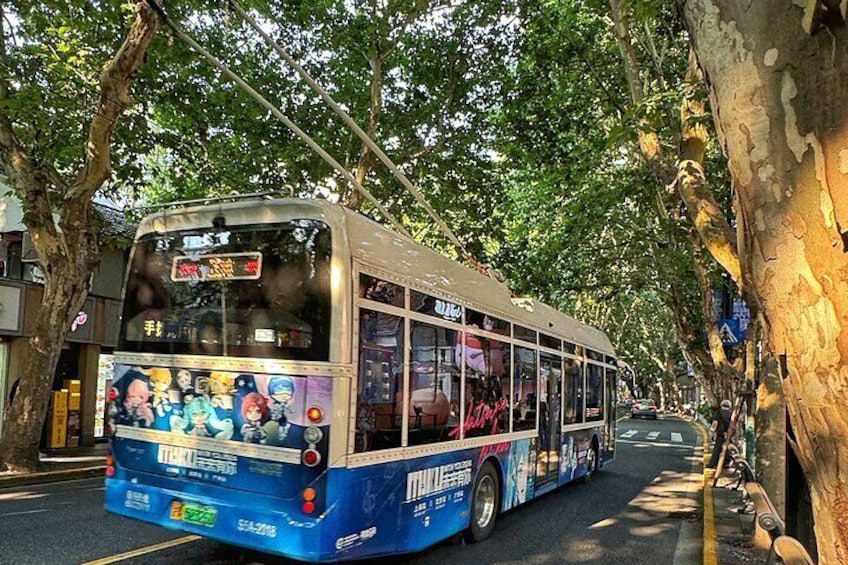 One of the few trams still available in this buzzling yet tranquil neighborhood.