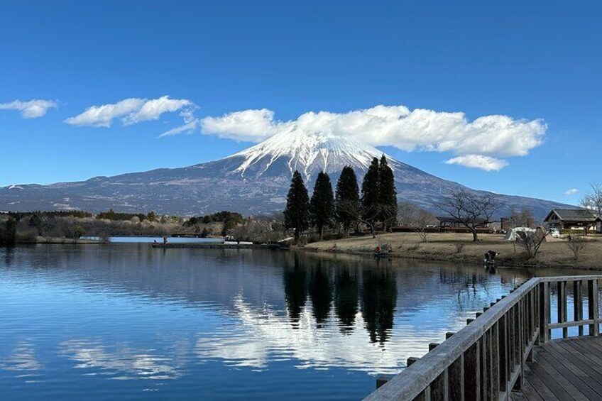 Lake tanuki