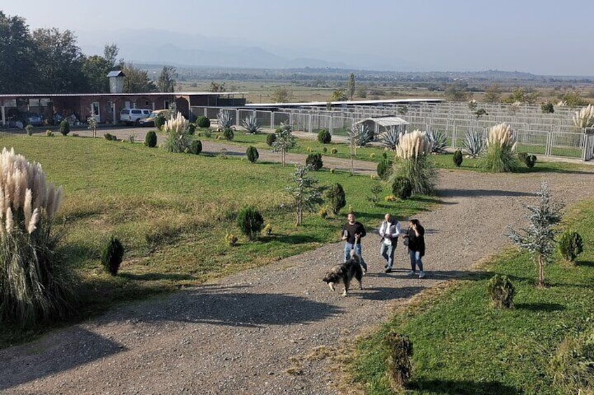 Terjola Private Excursion with optional pickup from Kutaisi