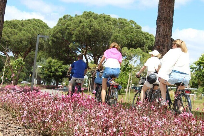 3H Guided Bike Tour in Vilamoura