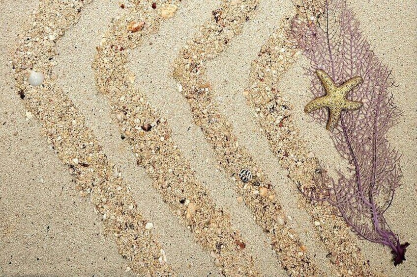 Natural sand art embellished with a natural purple sea fan!