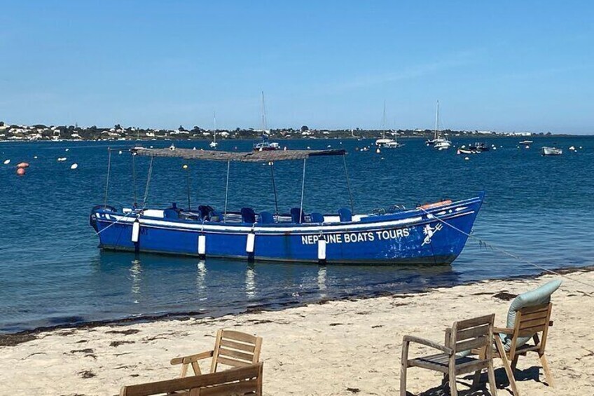 Bateiras Traditional Boats Shared Tour in Olhão