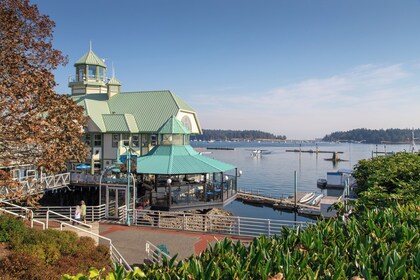 From Nanaimo: Seaplane flight to Sechelt with  Strait of Georgia Experience