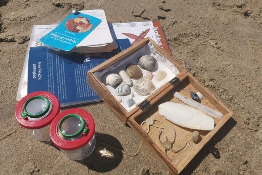 Zeeland Beachsafari with Dragnet : Discover the beach