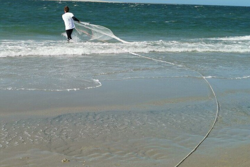 Zeeland Beachsafari with Dragnet : Discover the beach