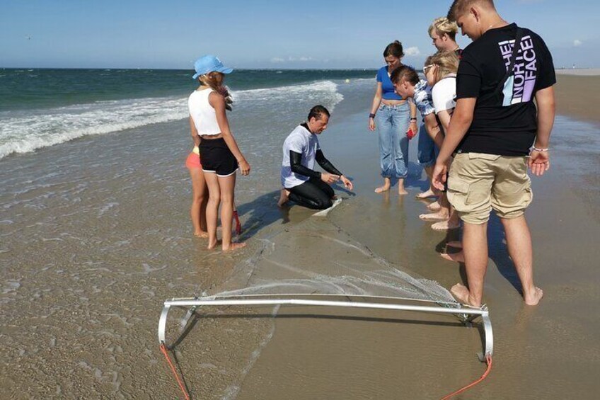 Zeeland Beachsafari with Dragnet : Discover the beach