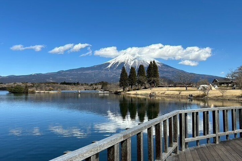 Lake Tanuki