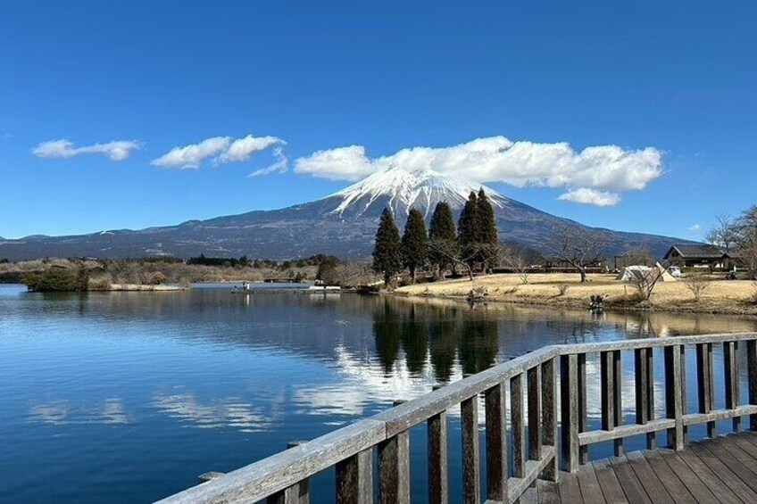 Lake Tanuki