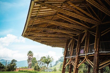 Ecopark Recinto del Pensamiento-rondleiding