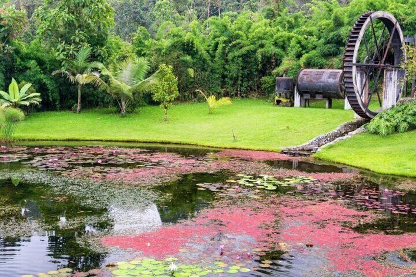 Eco-Park Recinto del Pensamiento Tour