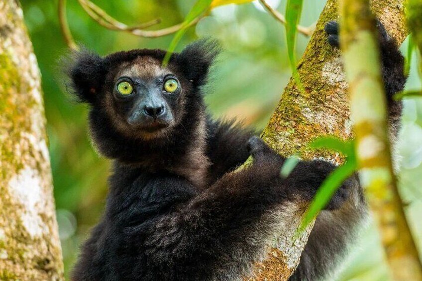 15-Day Private Photography Tour in Madagascar