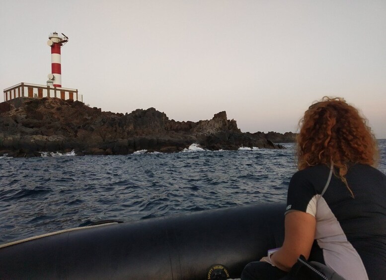 Picture 4 for Activity Tenerife: Sunset Boat Ride