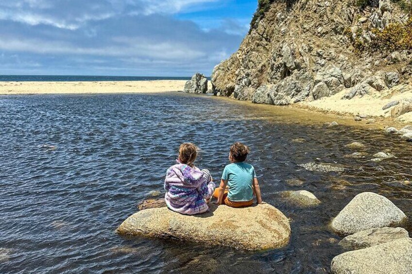 Secluded beach - Garrapata State Park